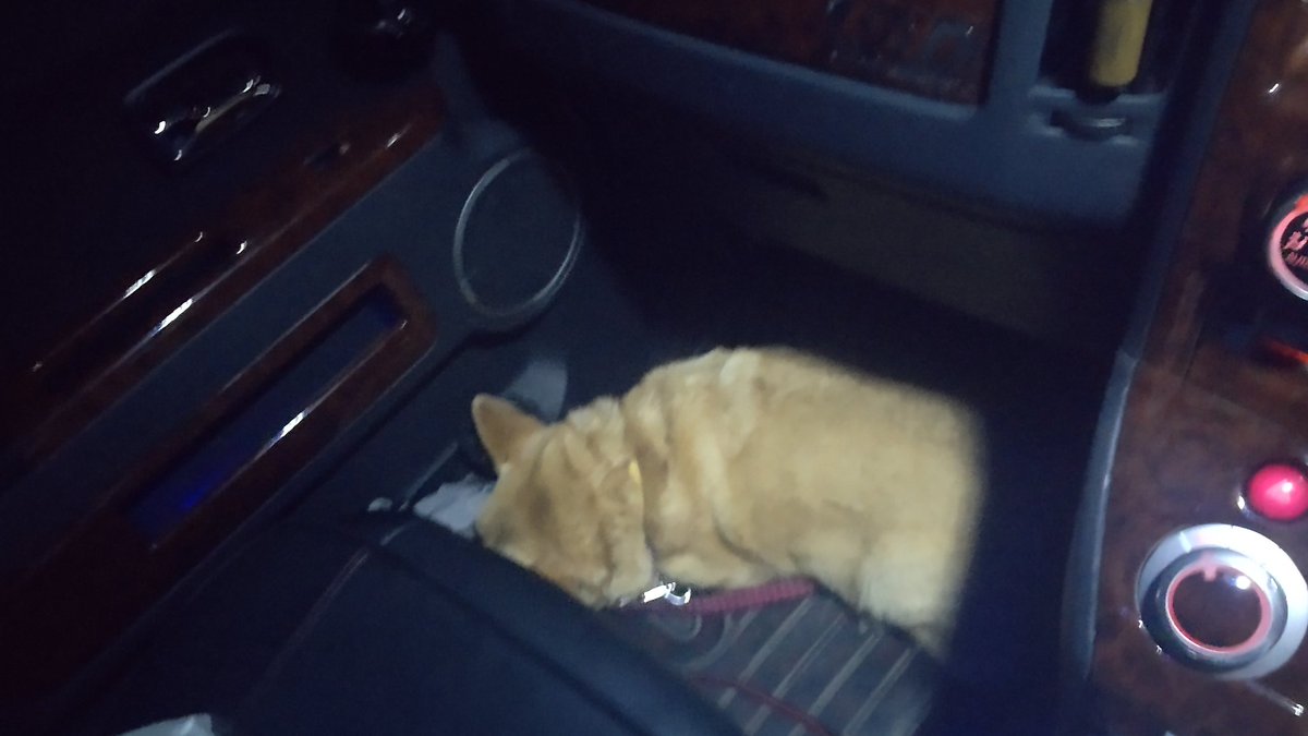 嘔吐 جستجوی توییتر