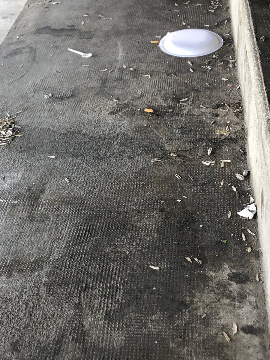 Alejandra Perezmejia tweet media