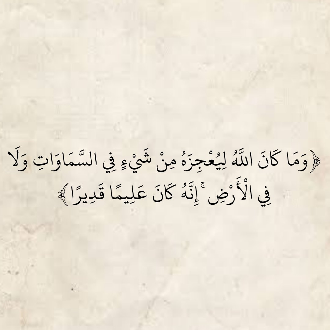 Devinespit's tweet image. 