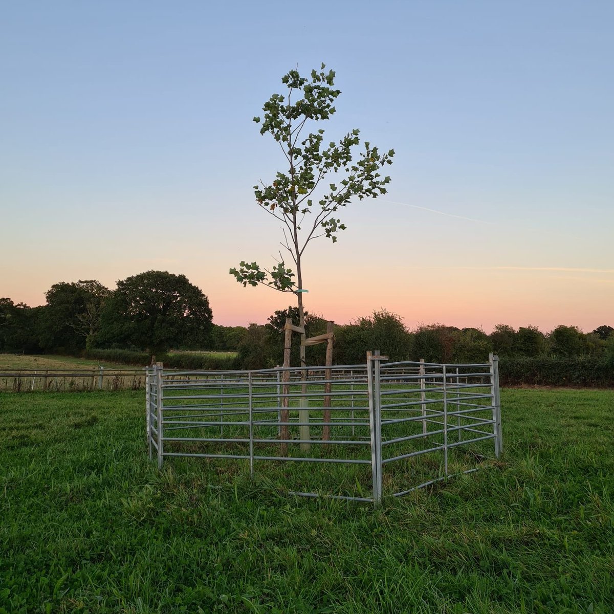#BabyLossAwarenessWeek 🌈❤️