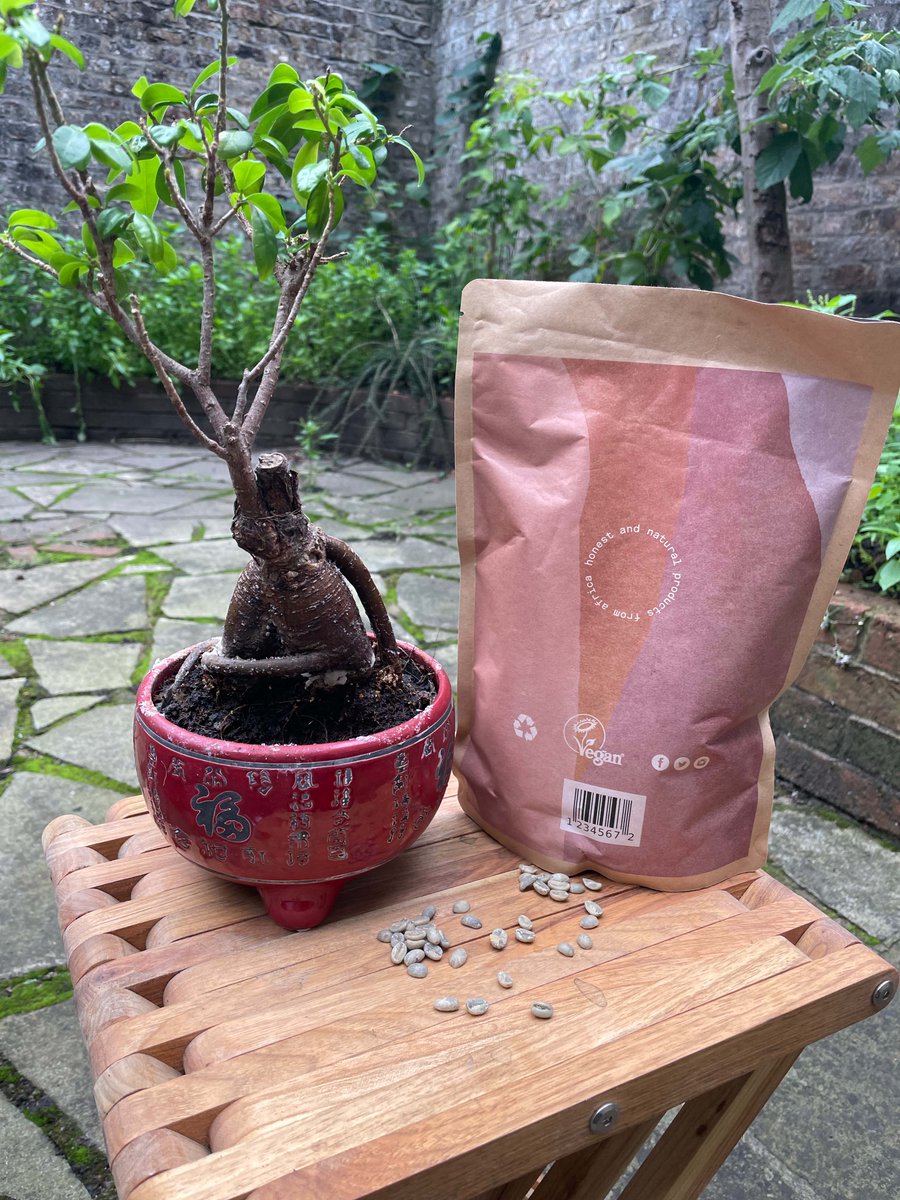 Real life photos of our products #afrorganic #london #geisha #guatemala #greencoffee #coffeebeans