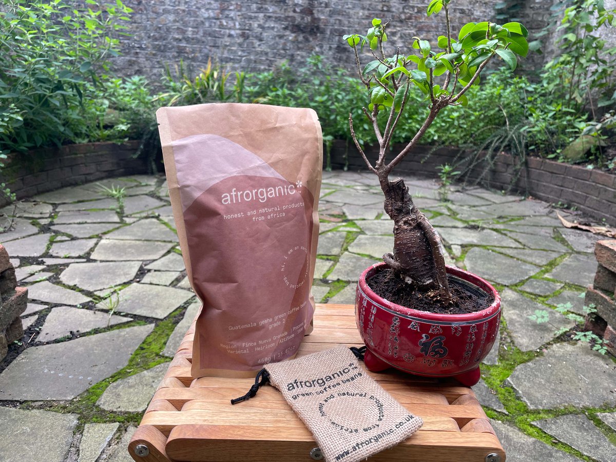 afrorganic's tweet photo. Real life photos of our products #afrorganic #london #geisha #guatemala #greencoffee #coffeebeans https://t.co/FjBaTDLV79