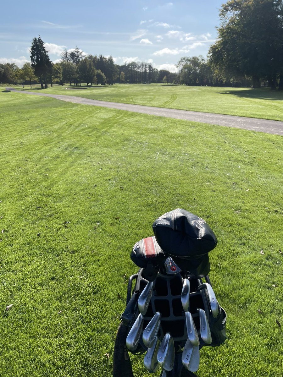 TheApexHound's tweet photo. So last week I birdied the 4th and had a triple on the next hole. Today I just birdied the 4th hole again & got on to the tee box… hit my drive clipped a tree & it somehow bounced right on to a path and bounced just OB. Lmfao I am cursed #PBFU https://t.co/1QqVgyhjch