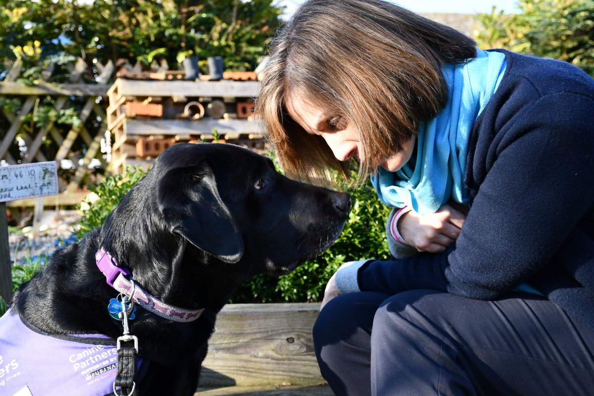 canine_partners's tweet photo. As we come to the end of #WorldTeacherWeek, we want to thank all our supporters who have helped raise awareness of Fiona and her canine partner Verlin's inspiring story π donate today at https://t.co/wI9YXipSVO https://t.co/9I4YUiHLQY