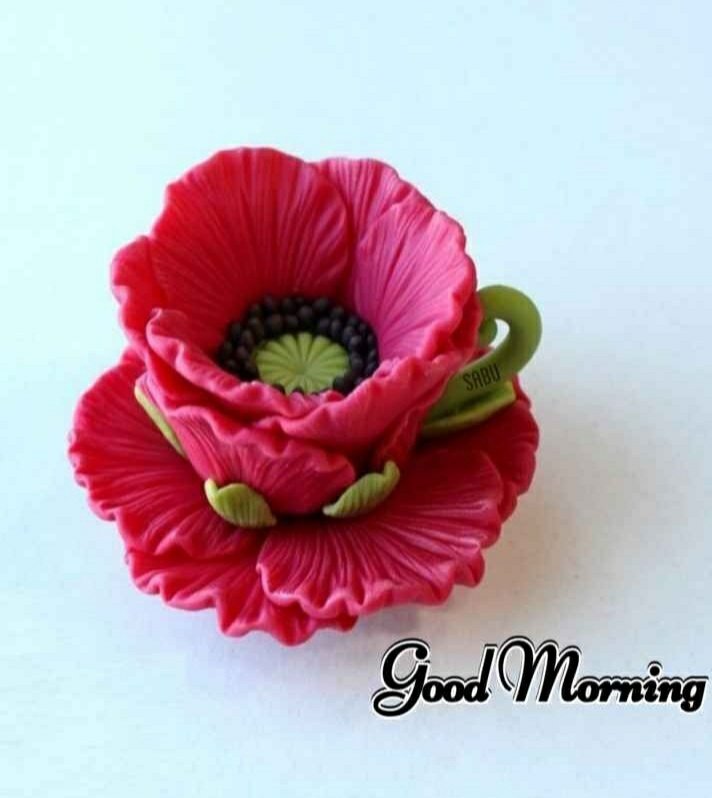 poonam_taneja's tweet photo. https://t.co/ojKm4JwjMG