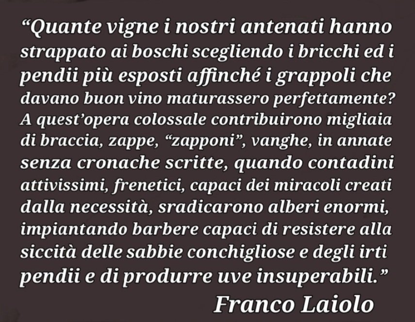 GFrancoManfredi's tweet photo. Come si somigliano le storie, di lavoro, tenacia, sudore e fatiche dei #vignaioli ... 
Dalle #Barbere del #Monferrato ai #Cirò ai #Palizzi ai #Savuto ai #Lamezia della #Calabria 

#FrancoLaiolo 
#DavideLajolo https://t.co/F8b6ww3ehk