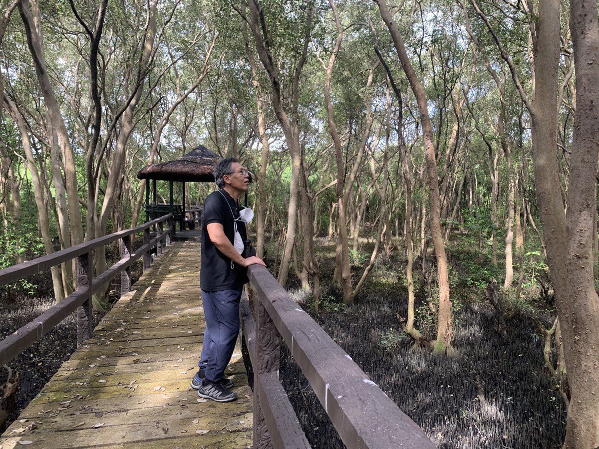 ChelDiokno's tweet photo. Forest bathing for my mental health sa Las Piñas-Paranaque Critical Habitat and Ecotourism Area! Salamat sa Wild Bird Club of the Philippines for this. Kayo, anong ginagawa ninyo for your mental health? Share nyo naman! #WorldMentalHealthDay https://t.co/psbPo6gppL