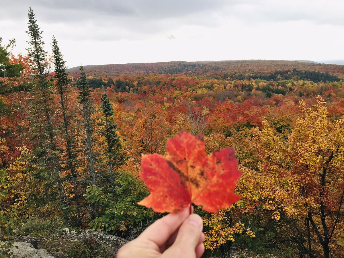 <a href="/JaniceDean/">Janice Dean</a> Wolf Trail in Gatineau Park near Ottawa. ❤️
