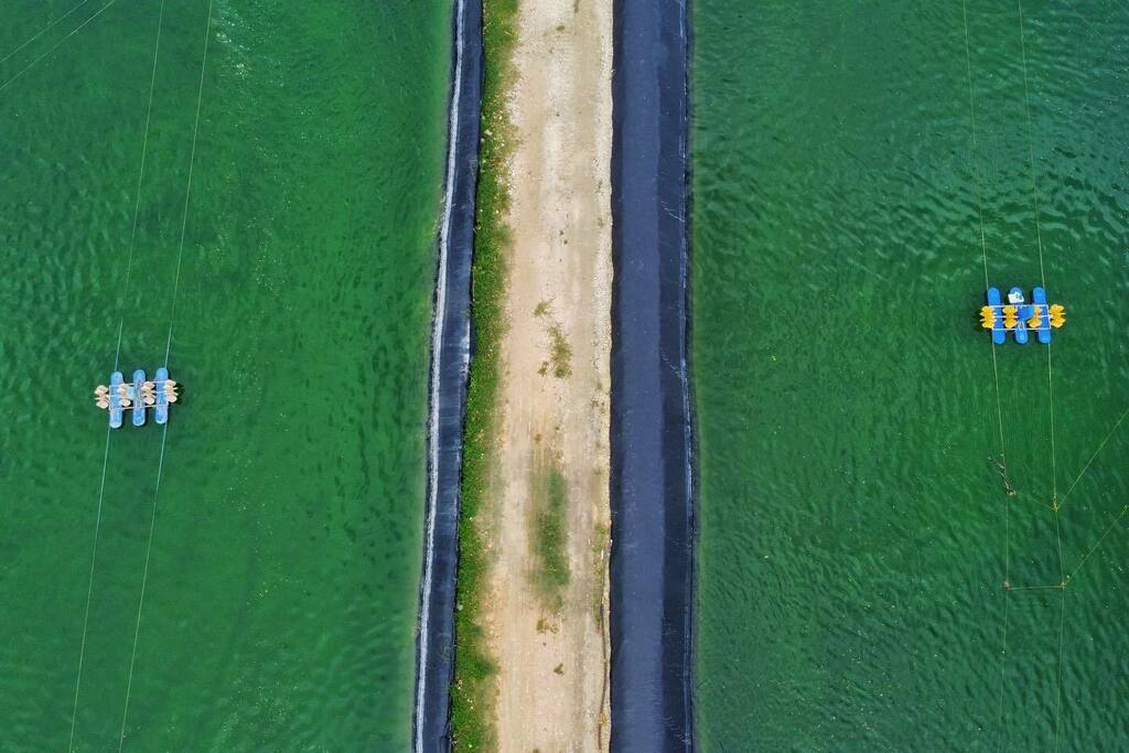 ubo_pakes's tweet photo. At the shrimp farm
#fishpond #road #shrimpfarm #aereator #drone #dronephotography #dronephoto #dronepilot #dronestagram #djimini2 #landscape #aerial #aerialphoto #sibonga #cebu #philippines https://t.co/v76rZRGeIh https://t.co/1SQStOM8jc