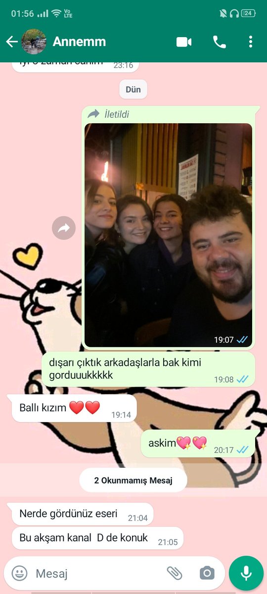 ben bu mesaja cevap veremem