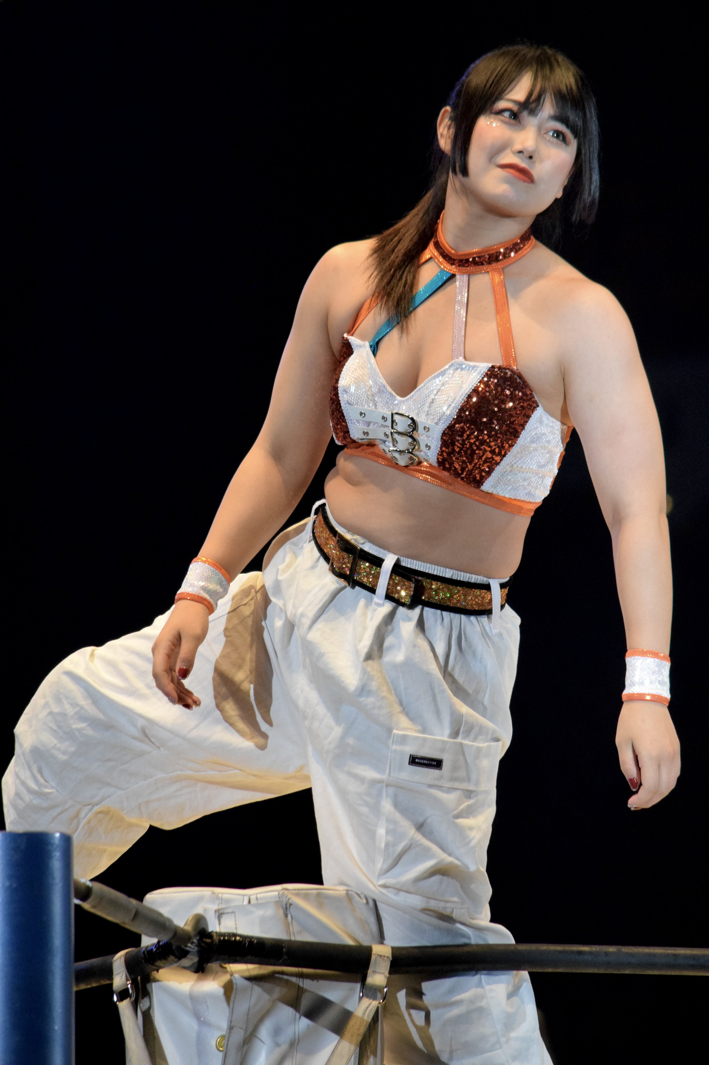 使い勝手の良い スターダム 舞ひめぽい 応援タオル スポーツ選手 Spritec Com Br