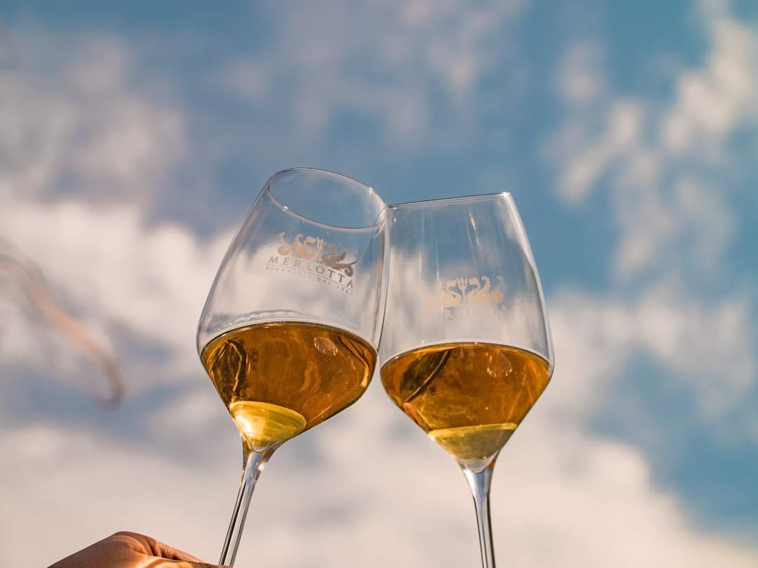 MerlottaVini's tweet photo. 🔱 Mancano ancora le uve destinate alla produzione della nostra Albana Passito, ma noi brindiamo già alla vendemmia 2021 🔱 https://t.co/cyPKJtgN5q