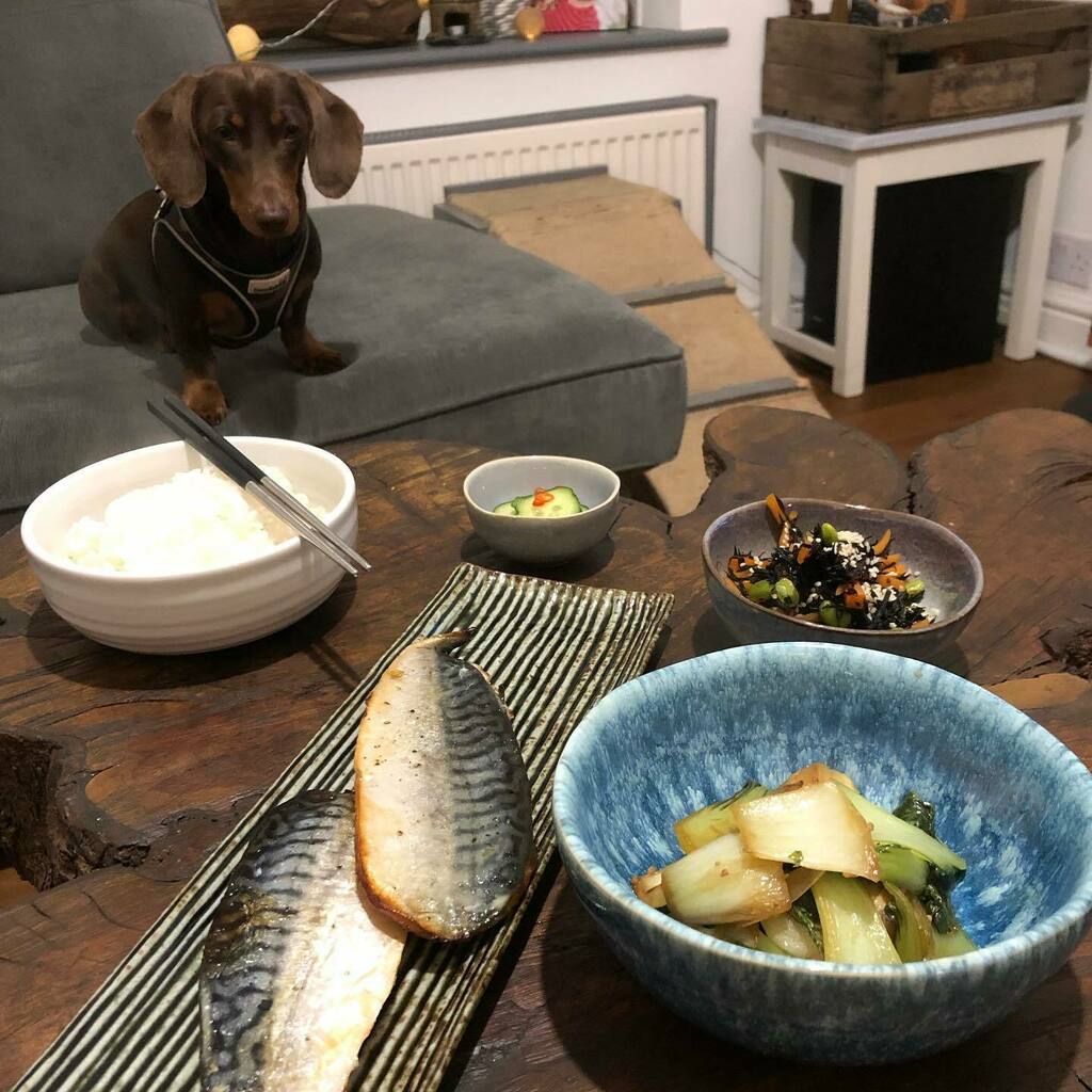 Mackerel, pak Choi, seaweed with edamame and carrots, pickled cucumbers 🥒 
•
#homemade #homecook #homecooking #cookingastorm #foodporn #healthy #healthylifestyle #weewoo #thatwookitchen #weewookitchen #photobombhand 🖐🏻🖐🏼 instagr.am/p/CU2JW32IVDo/