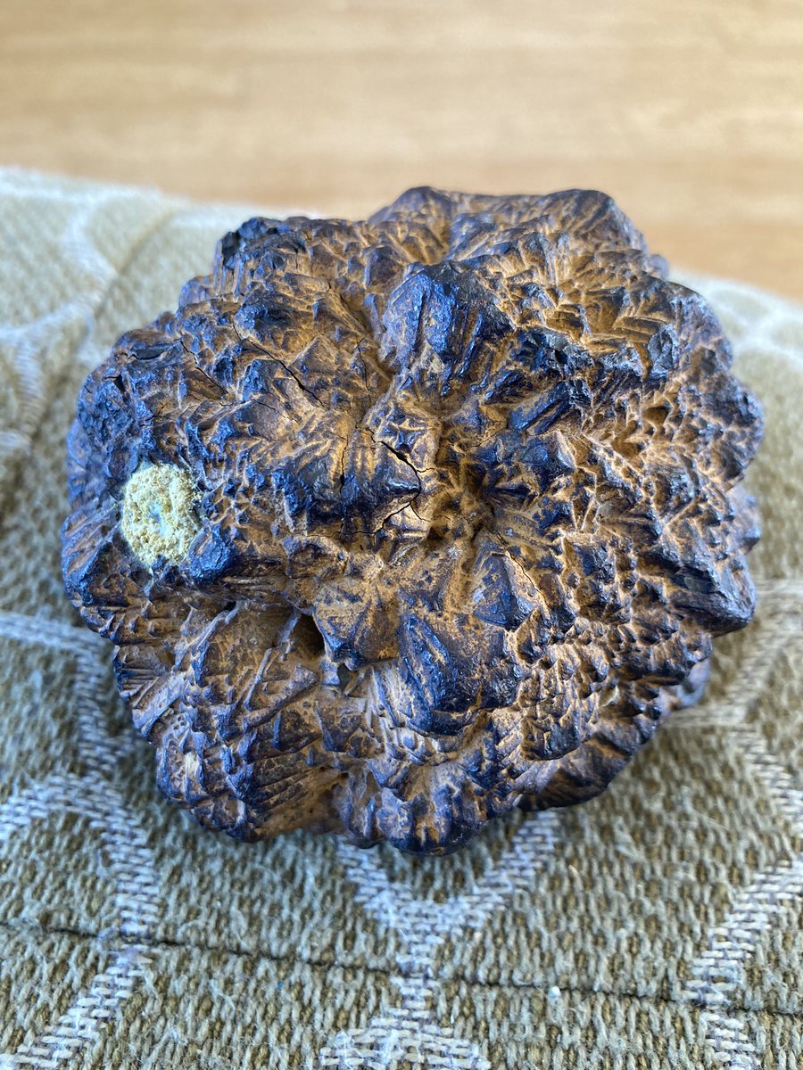 Rosaleen Duffy tweet media