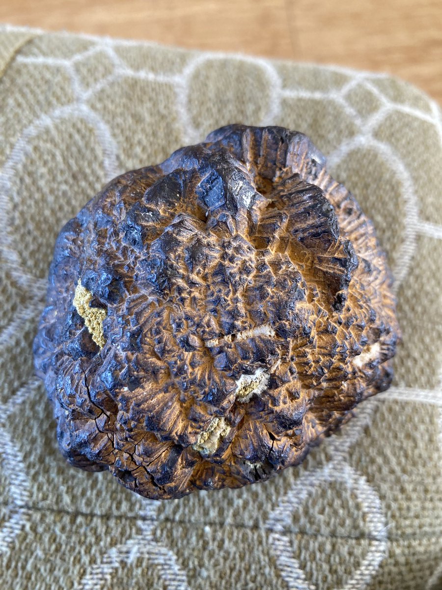 Rosaleen Duffy tweet media