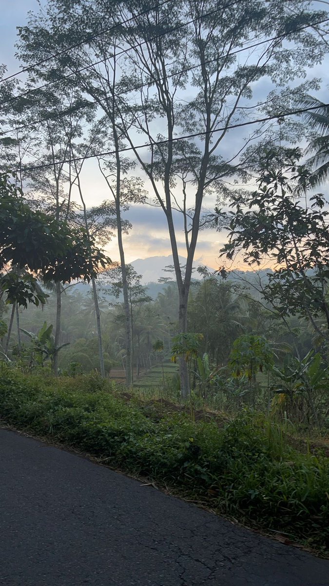 galuh_kerto's tweet photo. Jalan2 pagi di jalur jalan raya Secang-Grabag via Pirikan-Cokro #tanggulangin #secang #grabak #magelang https://t.co/C2dUWwoQgI