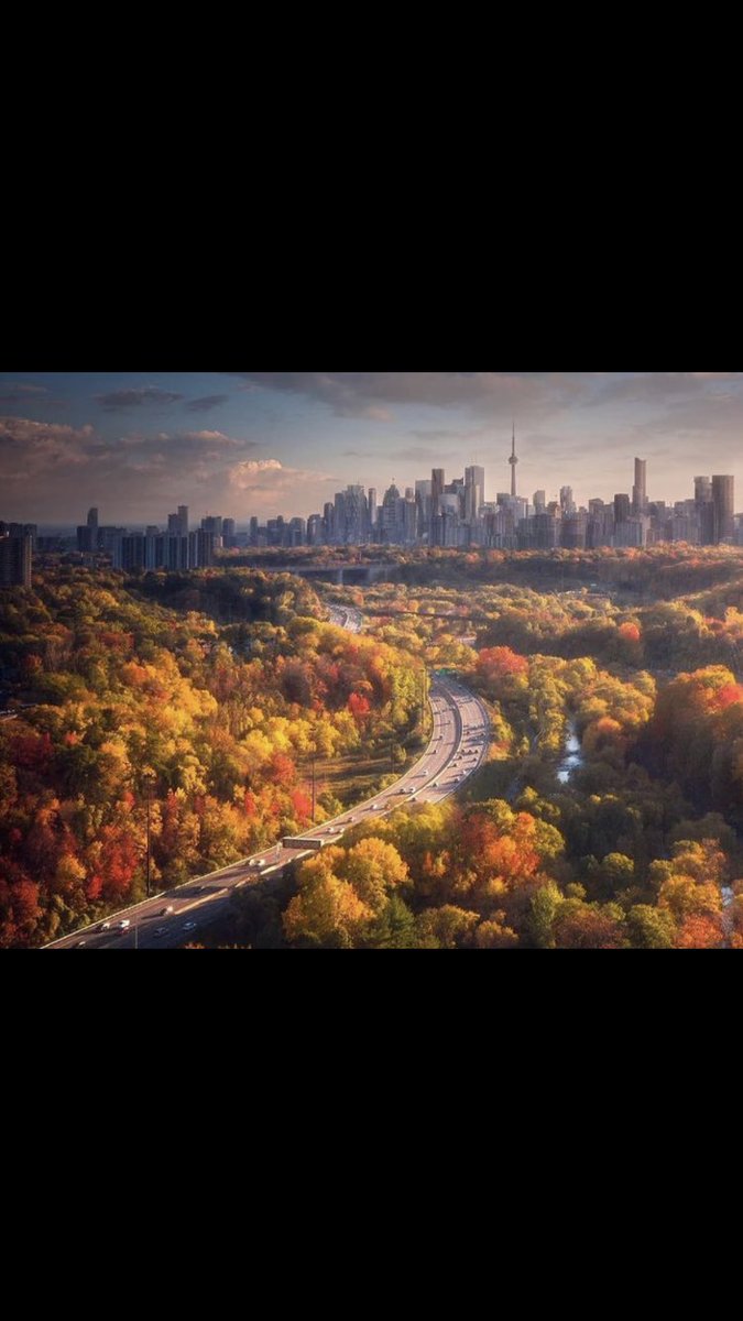 Thanksgiving weekend in Canada… what I wouldn’t give to be there right now…Think of something or someone you are thankful or grateful for and let them know 🍁😊