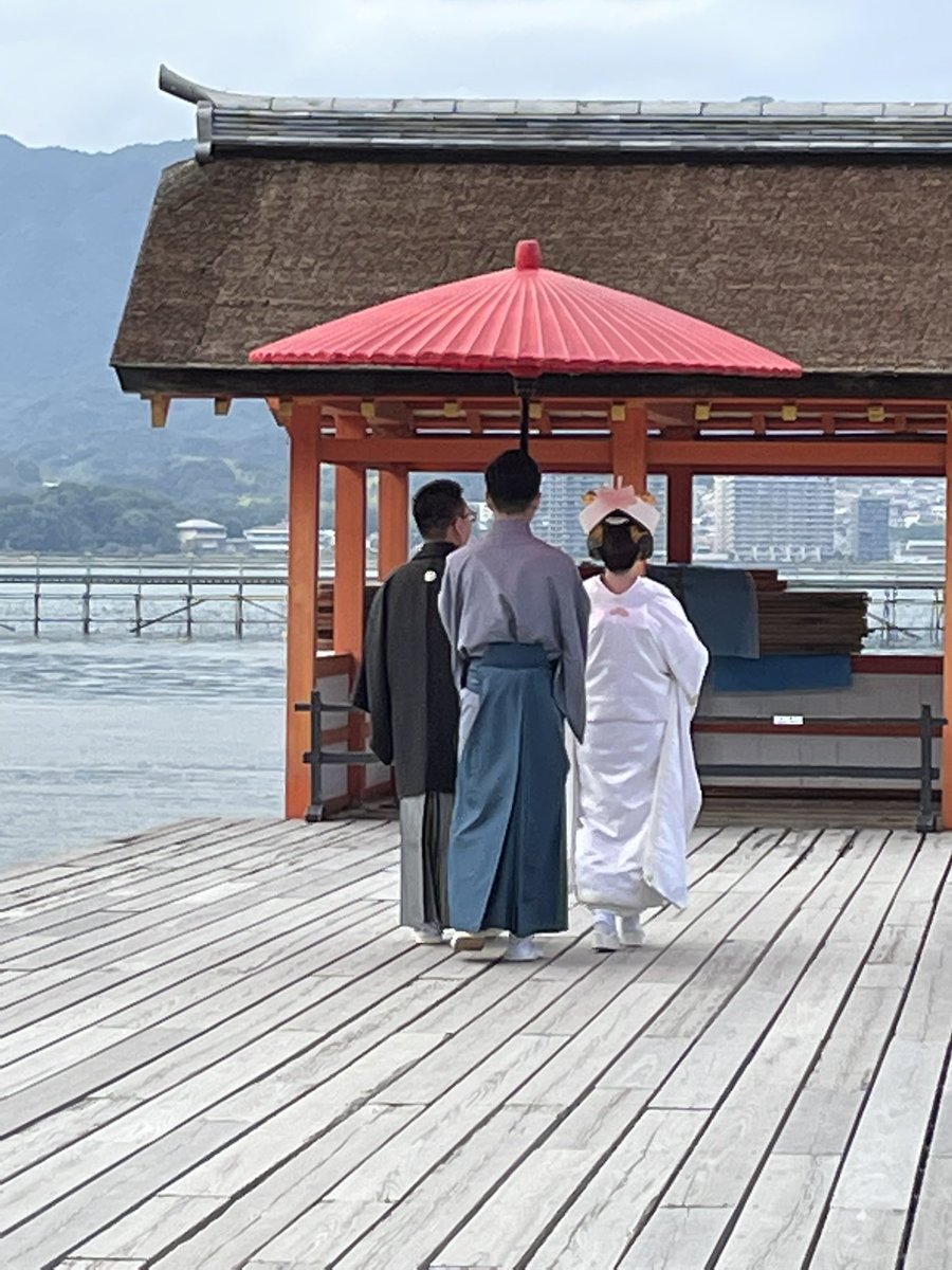 ぴょ S Tweet 神前結婚式 お綺麗でした 宮島 Trendsmap ぴょ S Tweet 神前結婚式 お綺麗でした 宮島 Trendsmap
