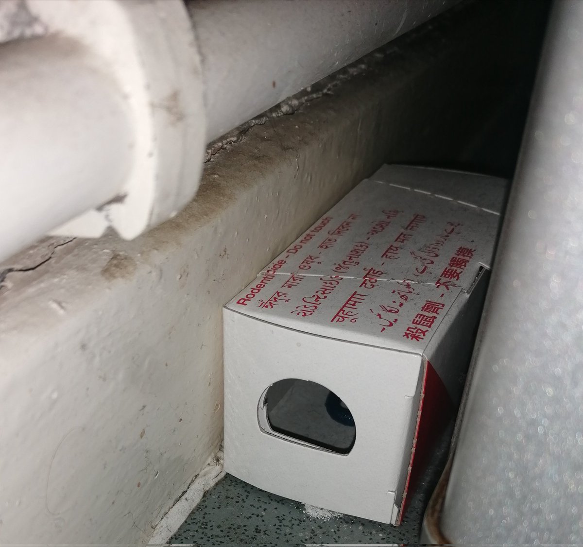 GreenerySave's tweet photo. So this is what @lewishamhomes pests control comes round and puts in your flats for mice https://t.co/VupuYJCdnS