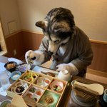 294松下のツイート画像