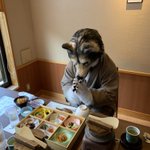 294松下のツイート画像
