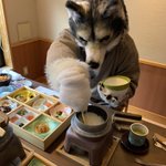 294松下のツイート画像