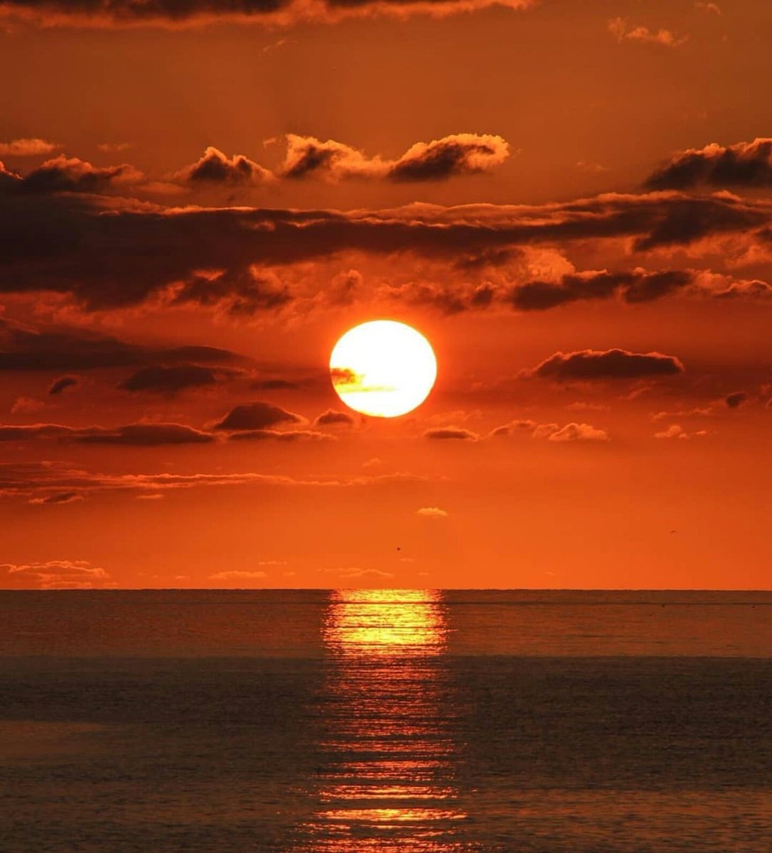 Senja pergi
Awan menemani
Tak ada lagi riuh menghampiri
Kembali pada sunyi
Anganku menelusuri tepian malam
Mencumbu kenangan
#GuratHening