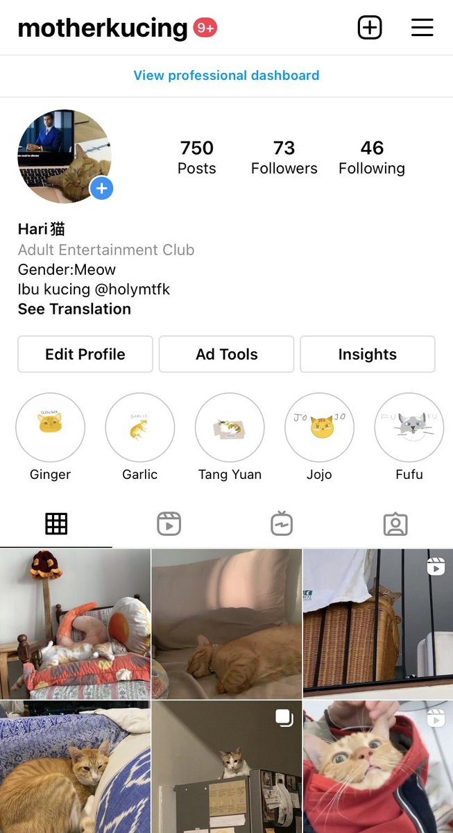 Buy Hayatul Haiwan 2 Vol Set Book Online At Low Prices In India Bku Hello Haiwan