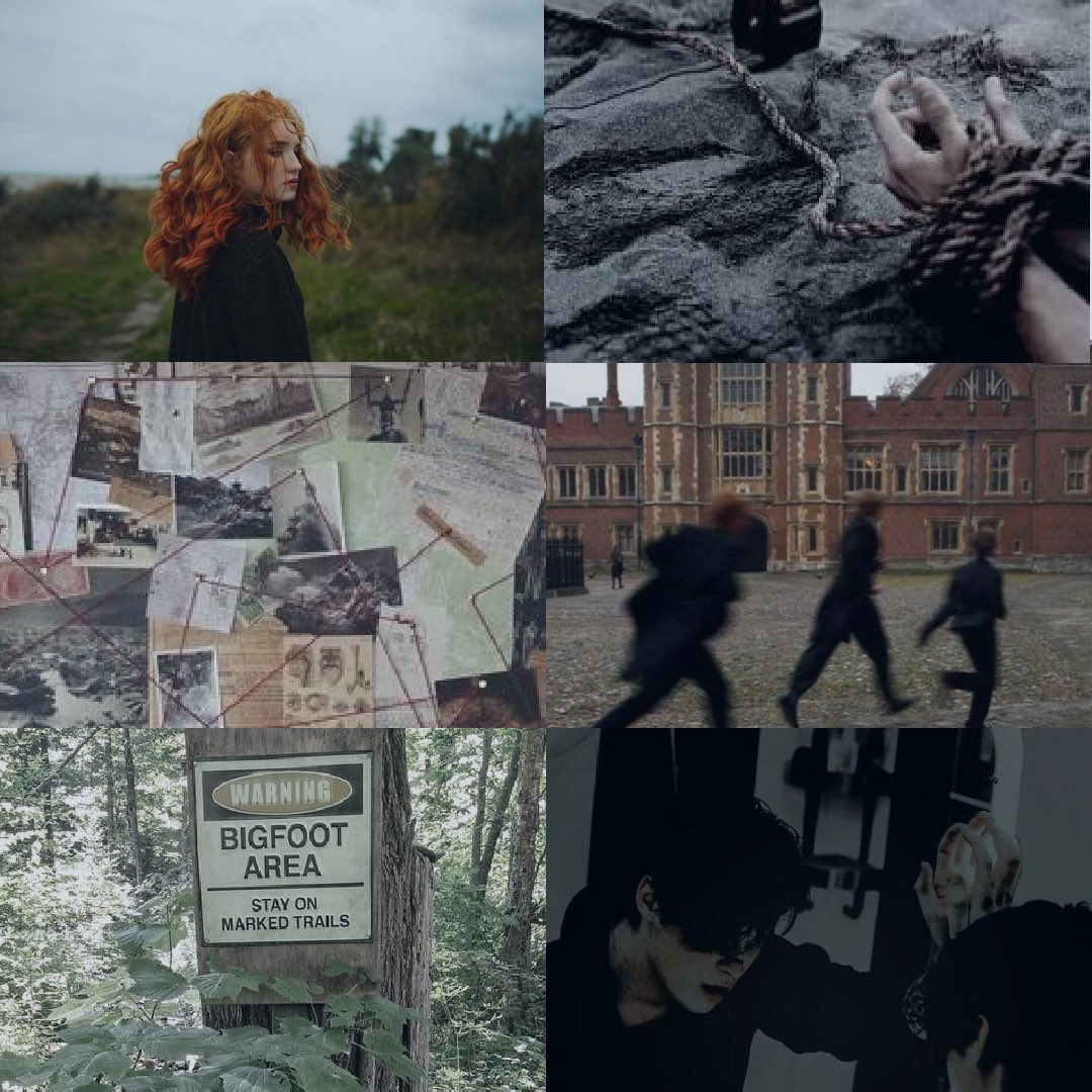 Excited to share the aesthetic for the novel I'll be writing for this year's #NaNoWriMo! 💻

It's a YA urban fantasy / crime and I can't wait to begin the drafting process 💫📝