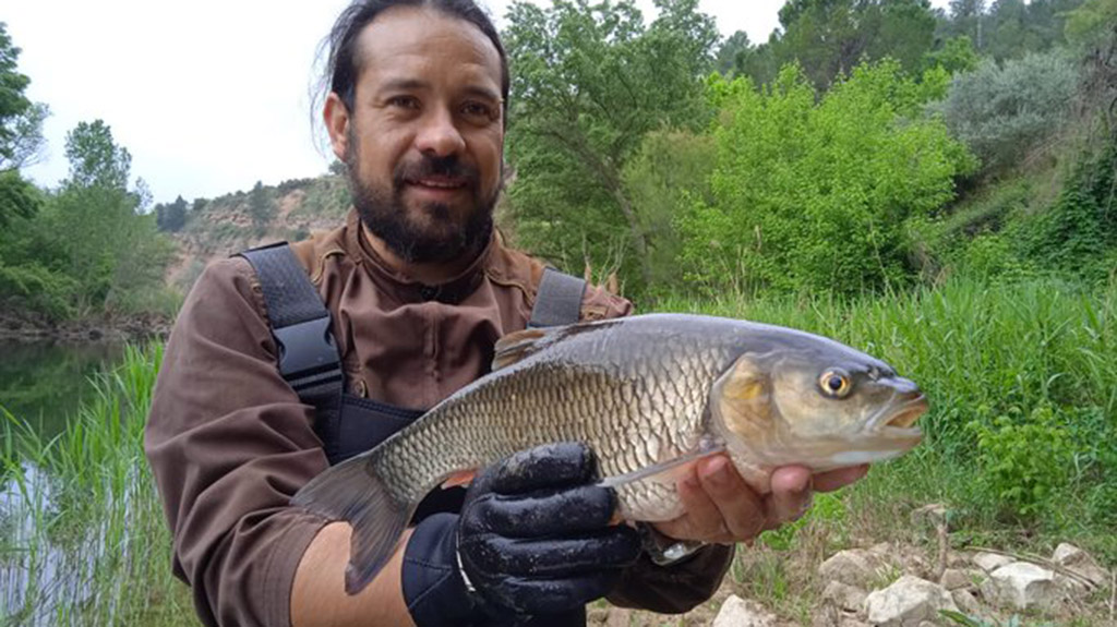 SetmanariEbre's tweet photo. ▶ LA NOTÍCIA: La cursa de pesca La Bagra identifica divuit espècies invasores a la conca de l’Ebre
#TerresdelEbre #RiberadEbre #Flix #pesca #LaBagra #espèciesinvasores @gnfreixe

https://t.co/cJWw2JyPAD https://t.co/GGTLQq8KID