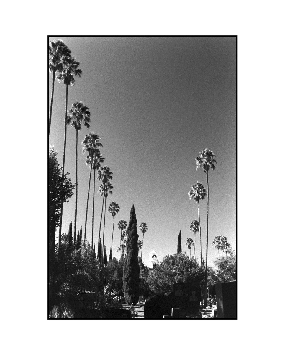 MachineSharkPro's tweet image. Hollywood Forever.

9/12/2021

.
.
.

#35mm #35mmfilm #kodak #trix400 #35mmphotography #cemetery #hollywood #losangeles #california #usa #wanderlust #travel #travelphotography #redfilter #monochrome #bw_crew #analogphotography #photooftheday #filmcommunity #shotonfilm #shootfilm