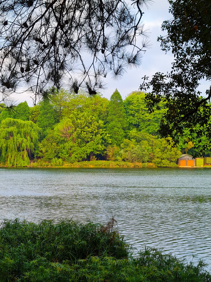 Ulrich Janse van Vuuren tweet media