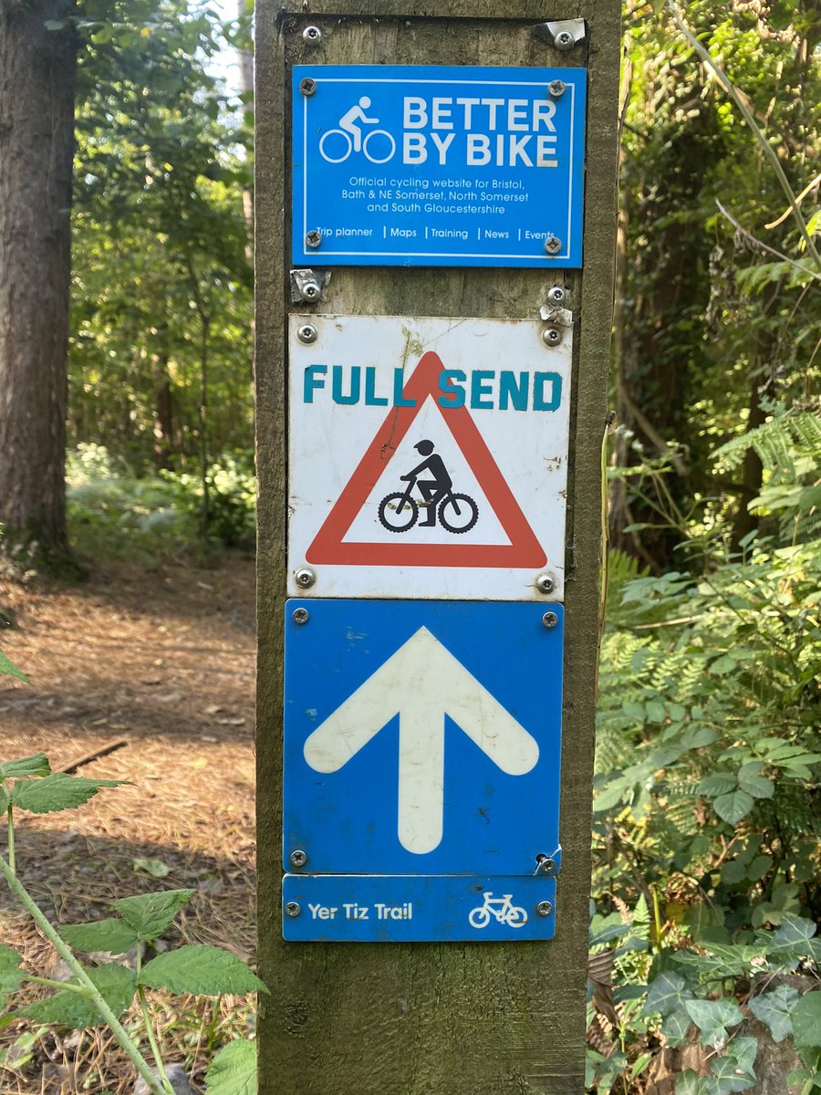 Lush tide through Leigh Woods on the Yer Tiz Trail 🚲