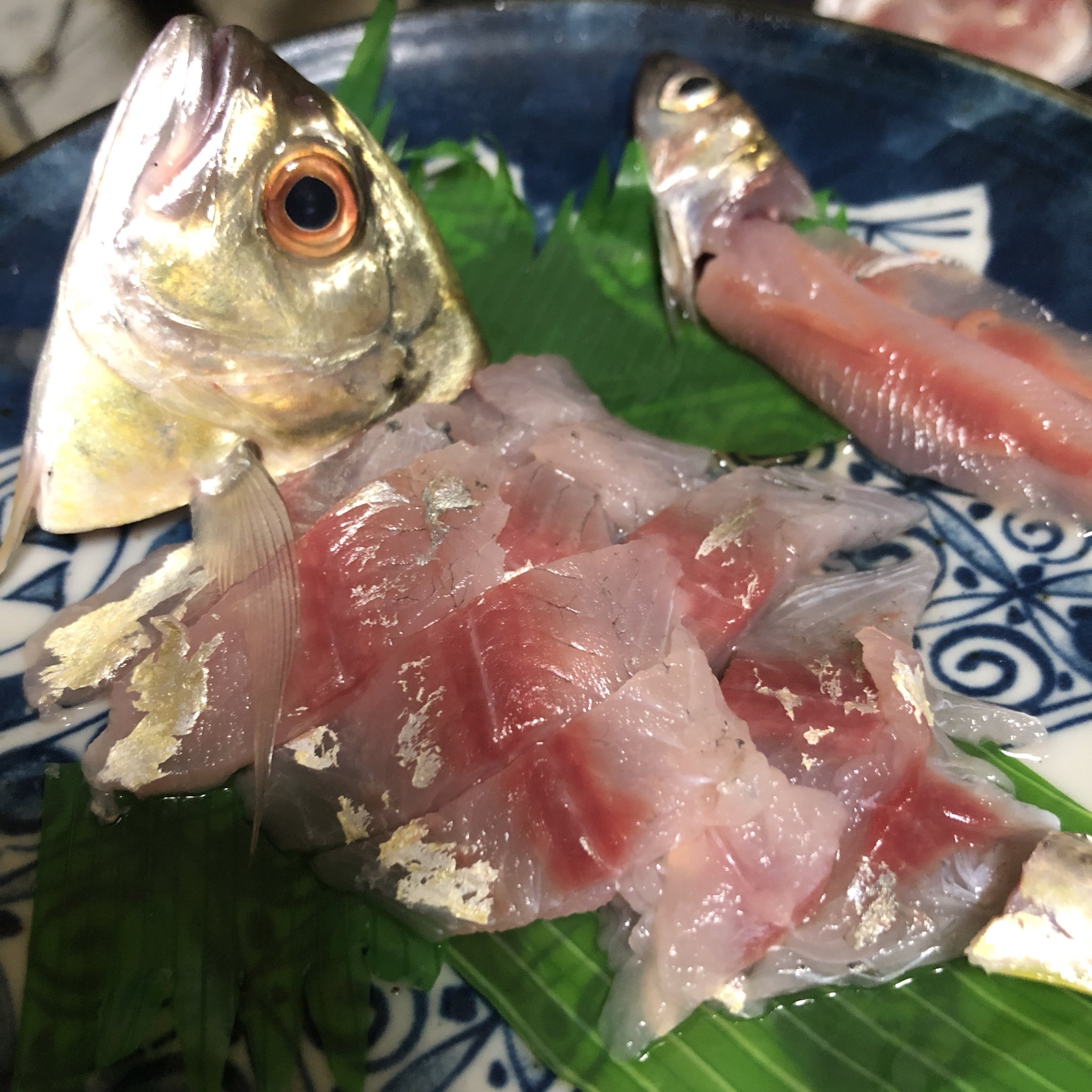 サビキーノ斉藤 魚釣り編 21年10月10日 日 21時07分頃 料亭サビキーノ 朝獲れ メッキ とイワシのお刺身 この日の朝 相模湾サーフでメッキ3匹とイワシ1匹釣りました それを刺身にして食う 美味しい 釣って食う人 サビキーノ斉藤