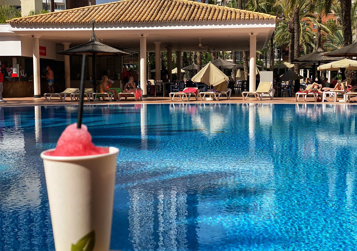 Sol Pelicanos Ocas tweet media