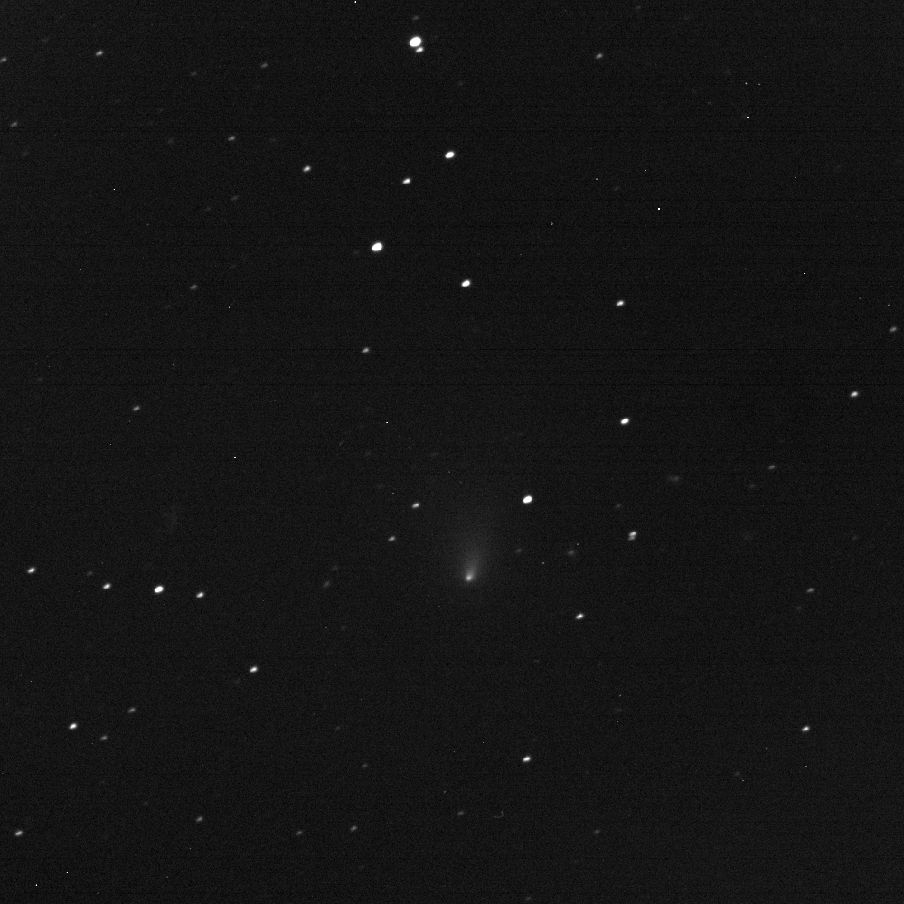 Comet C/2021 A1 (Leonard) 2021 Oct 10 11:52 UT from Mayhill New Mexico.  Image scale is 20 x 20' with North at top.  12th Magnitude would appear about right.