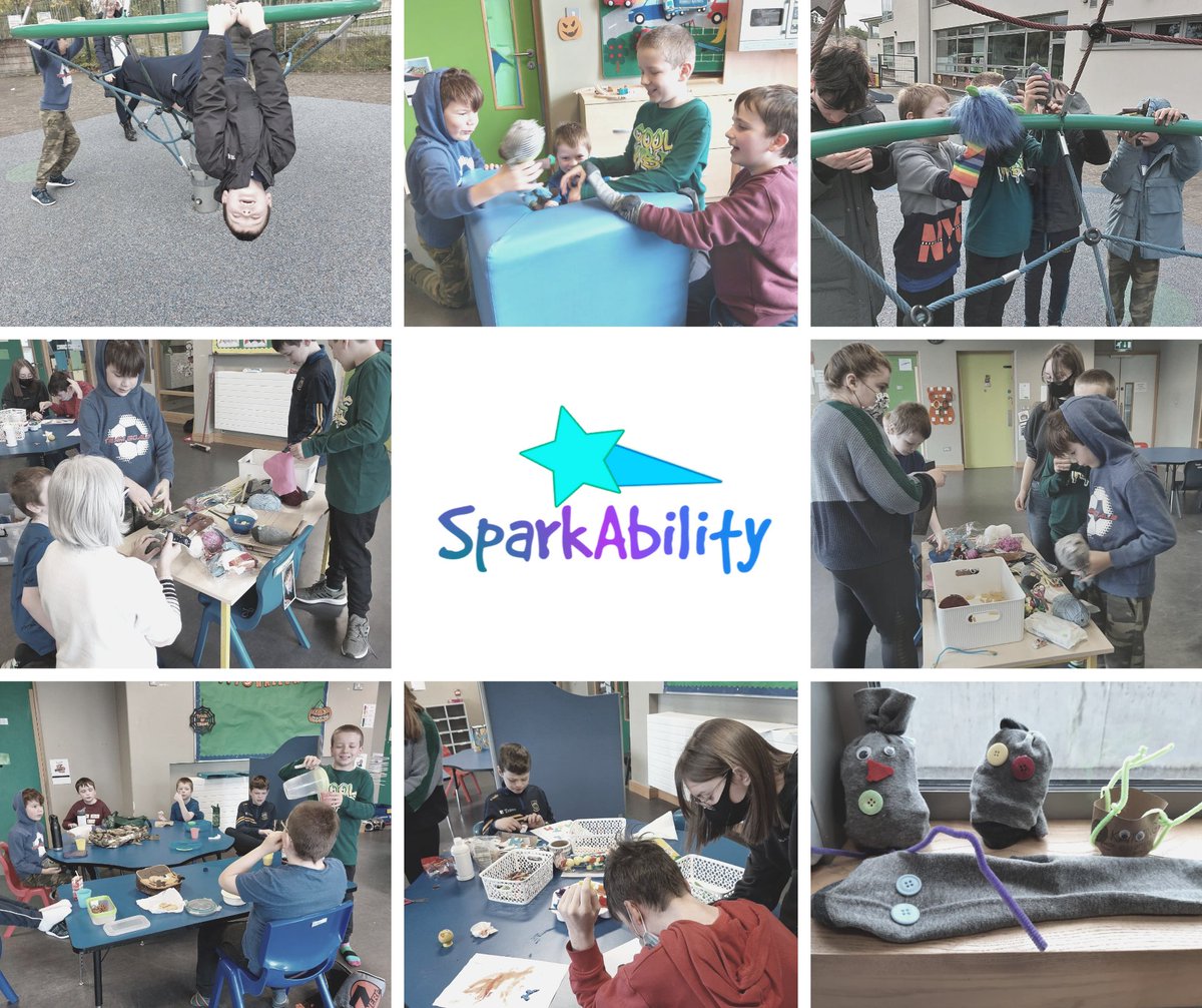SparkAbility Ireland tweet media