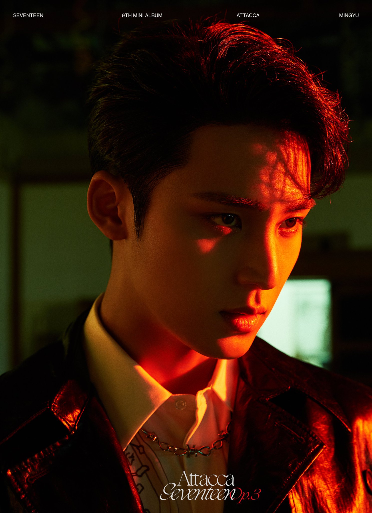 SEVENTEEN ディノ attacca 台湾 ヨントン wnanle30bgr71.jpg