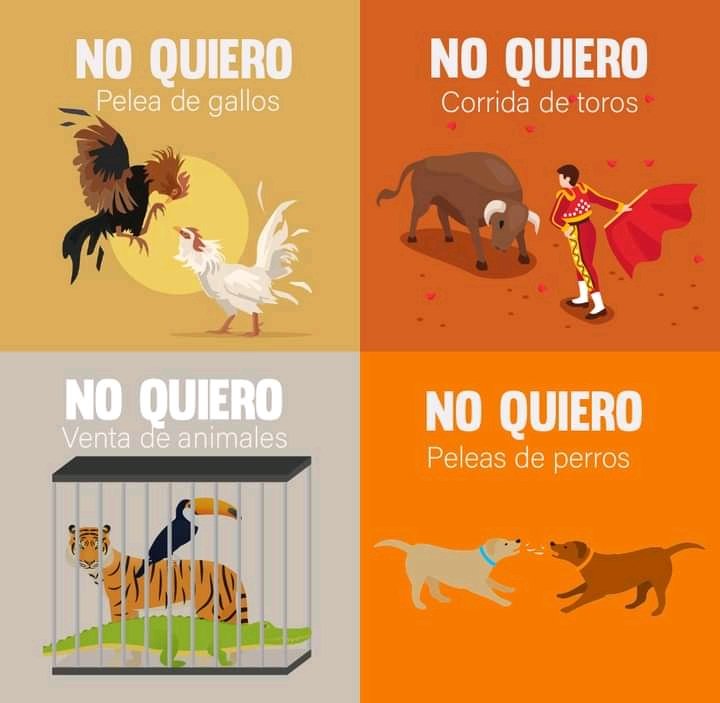 Filo𝕏iraptor tweet media