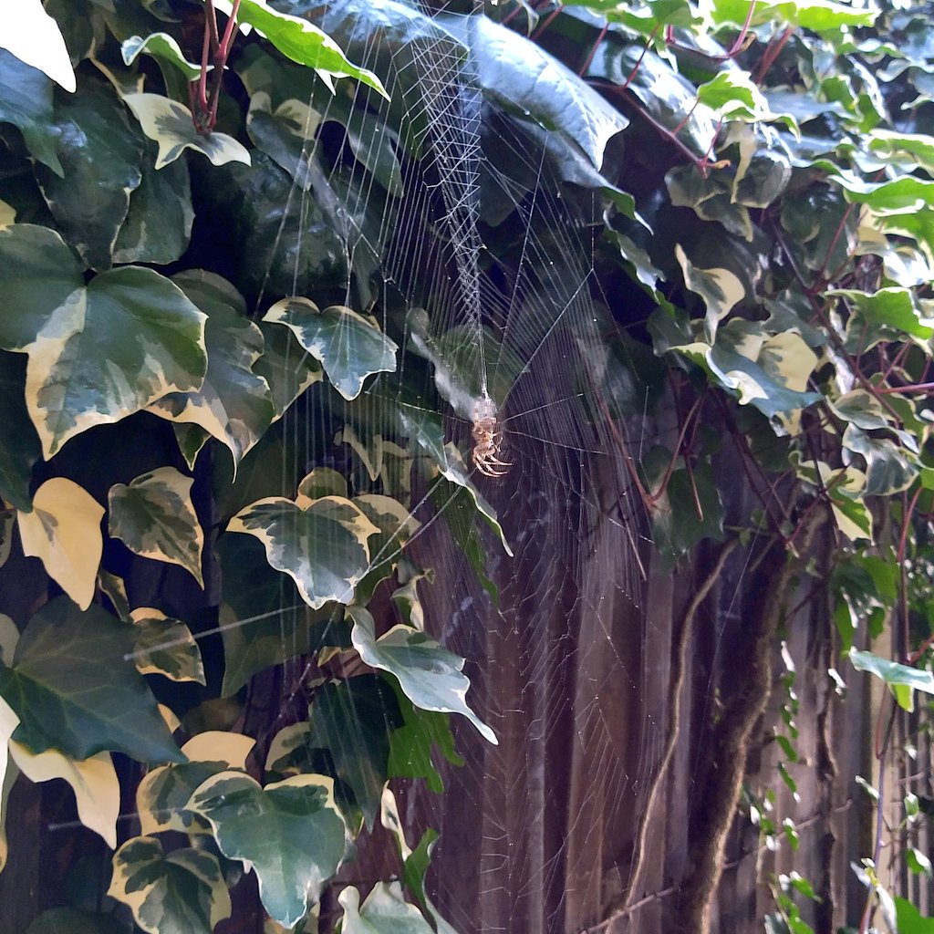 Hello to all the Sunday engineers!