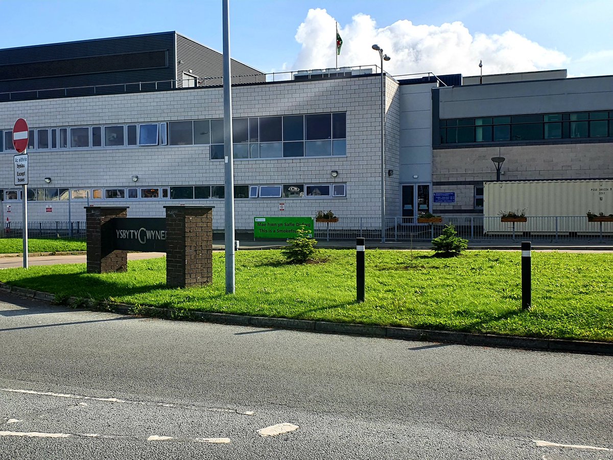 jojoelisw's tweet photo. Gorgeous weather this morning for some tree planting with @YGGreenGroup 🌿 excited that YG now has a permanent christmas tree for the front of the hospital to decorate each year (albeit a bit too small for this year) https://t.co/A8kdOeBpSo