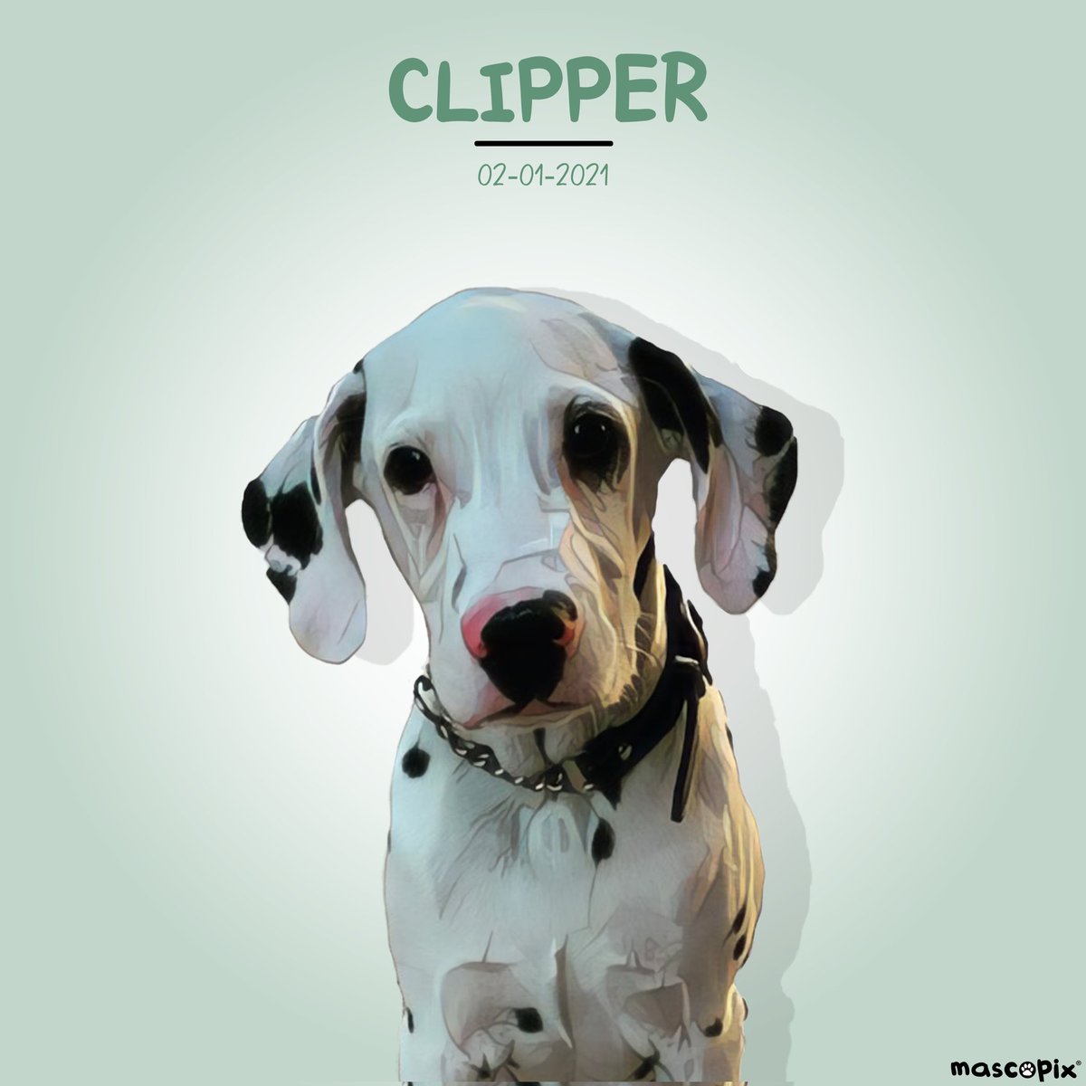 mascopix's tweet photo. Os presentamos a CLIPPER, un precioso Dálmata madrileño.

Te gustaría tener el Retrato de tu Mascota?...en @mascopix te lo enviamos a casa gratis...¡envianos un mensaje!

#mascopix #amormascotas #retratomascota  #perrosalchicha #dalmata #dalmatasespaña #101dalmatians https://t.co/V9ZTGCQ00I