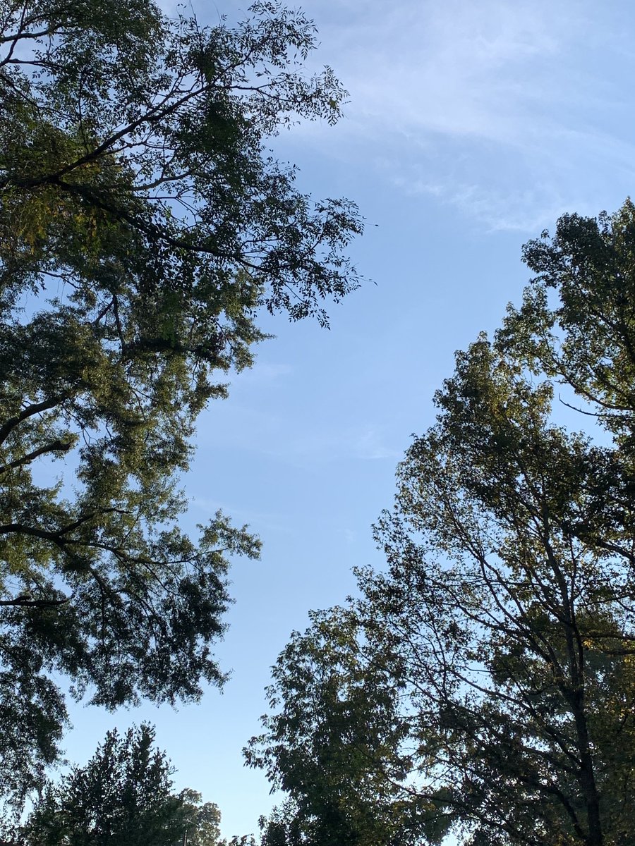 sokamoto's tweet photo. Good morning, Columbus! #ColumbusGA #mydailyphoto #10/10/2021 #2021project #uplate #clearbluesky #sunverybright #cool #abithumid #tinybreeze #ohsonice #birdswakingup #cicadasloud #neighborsdogsquiet https://t.co/zPzgBcUU1F