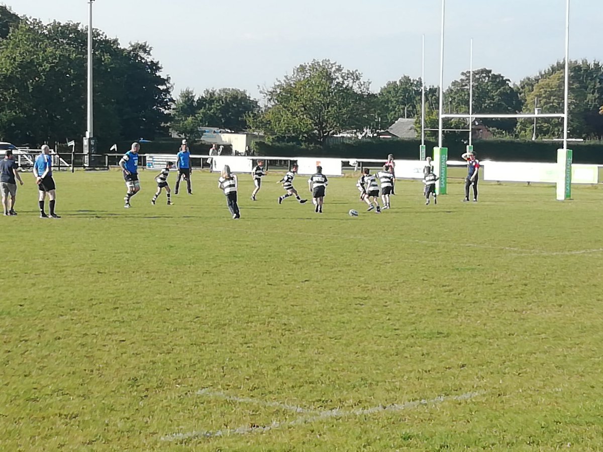 RRFCminis's tweet photo. Another morning of smiles and effort, across all age-groups. And that's what matters 💚🤍💚 Next week, we invade @maidsrfc for joint training. That sausage and chips better be on point 👉 🌭+🍟=😁 #readingrfcminis #greenmachine #fun #makingkidshappy https://t.co/IbrcBqYLYF