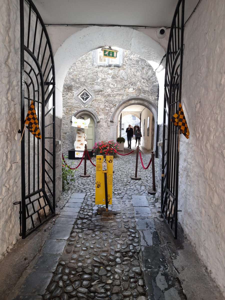 kilkennyday's tweet image. We are getting ready here at @rothehouse   to hear an inspiring talk by the artist Ann Griffin Bernstorff, who devised the Ros Tapestry project. Stitchers will also be sharing their experiences. 
#Kilkennyday #rostapestry #creativeireland @liznolan78_liz