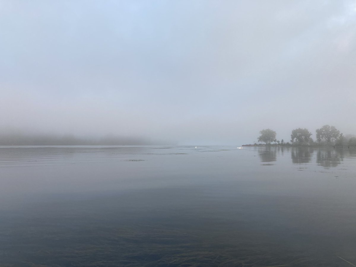 Hive2Home's tweet image. A foggy and successful fishing outing yesterday morning on the Detroit River.