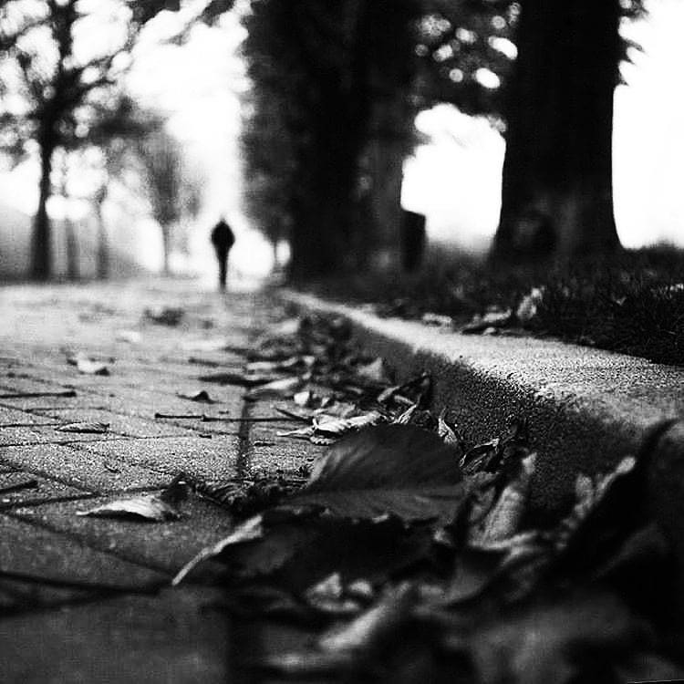 Leylakaramn's tweet photo. #Autumn #blackandwhite #streetphotography https://t.co/9jxGMHkg7b