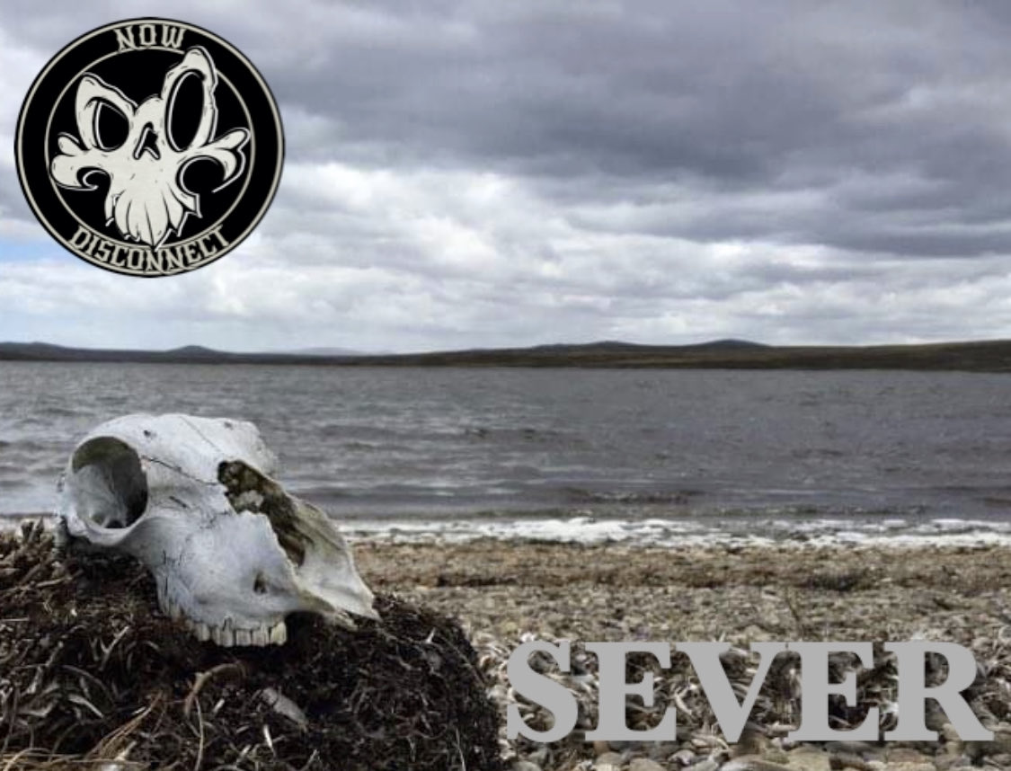 NowDisconnect's tweet photo. Our debut EP Sever is out now! 

Amazon - Sever [Explicit] https://t.co/zAHw9Pl1y9

iTunes - Sever - EP by Now Disconnect
https://t.co/ffBpRqI2xo

Spotify - https://t.co/PKlxd3T0bZ

Bandcamp - https://t.co/nJ0fgbQcZo https://t.co/eR2X9xtquI