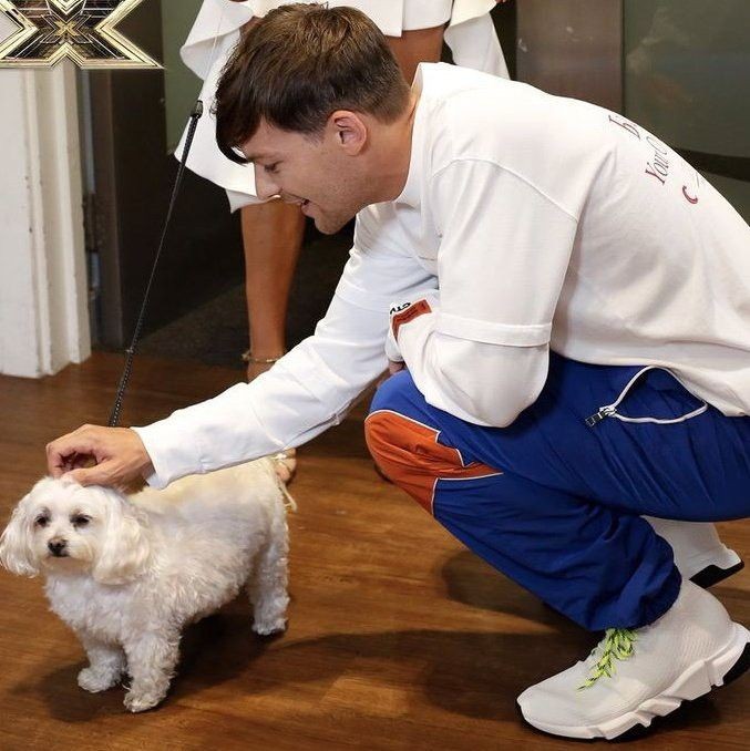 hsspky's tweet photo. 🐕🌱❤ https://t.co/KHrD9FKqwx