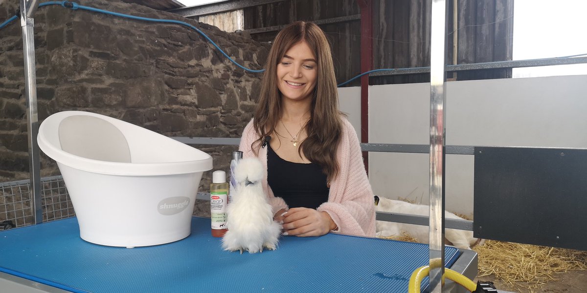 _BigMountain's tweet photo. We can’t wait for another jam packed episode of Peataí! tomorrow night on @BBCTwoNI at 10pm

Bígí linn!  🐩🐓🕷🦎 https://t.co/J5V8XgOcZY